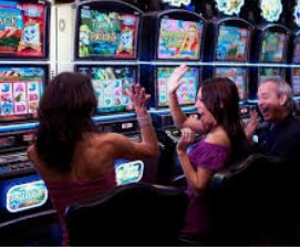 milan米兰app电脑免费版